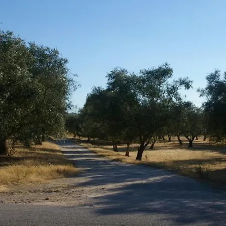 Bed and Breakfast Quinta Laranjal Da Arrabida 4*