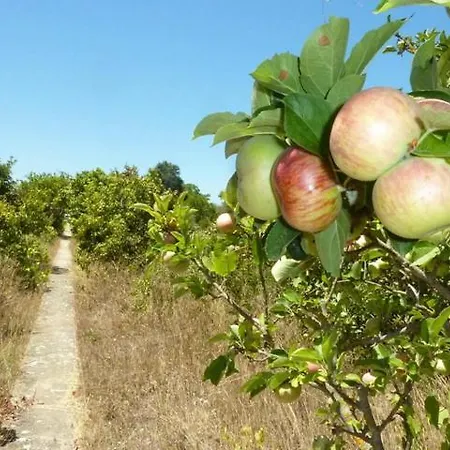 Bed and Breakfast Quinta Laranjal Da Arrabida Palmela