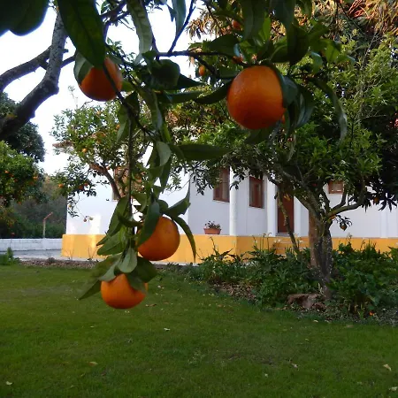 Quinta Laranjal Da Arrabida