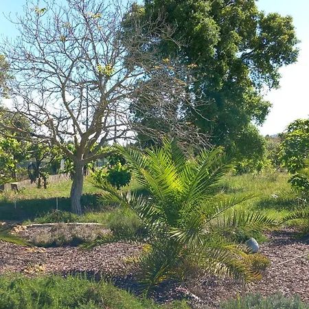 Nocleg ze śniadaniem Quinta Laranjal Da Arrabida Palmela