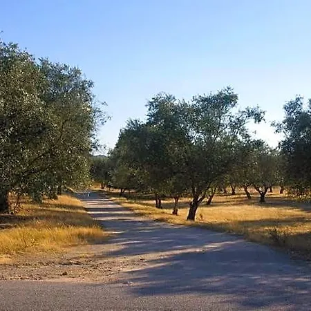 Quinta Laranjal Da Arrabida 4*