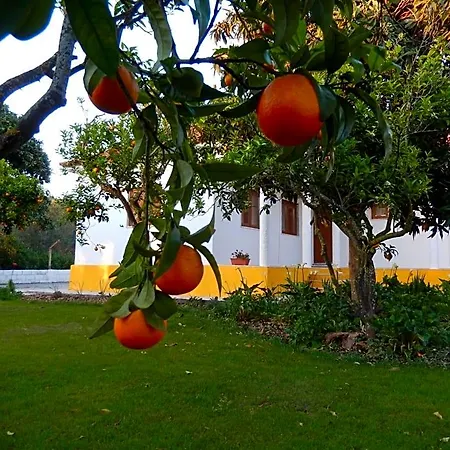 فندق مبيت وإفطار Quinta Laranjal Da Arrabida 4*