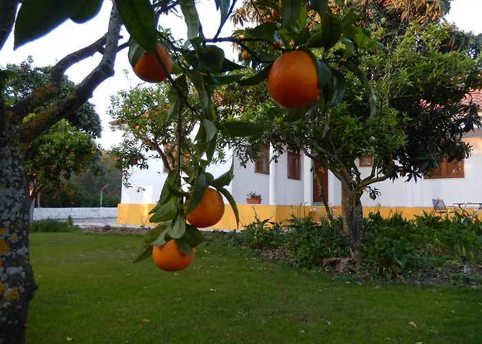 Quinta Laranjal Da Arrabida