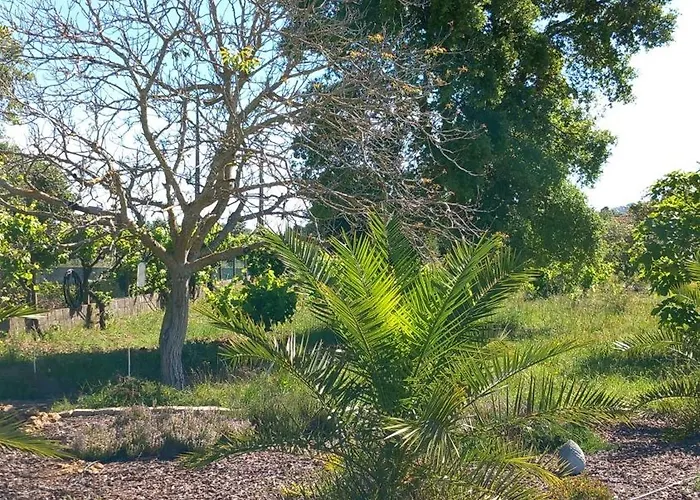 Bed & Breakfast Quinta Laranjal Da Arrabida Palmela
